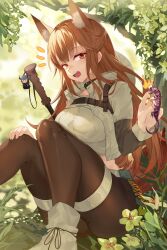 Rule 34 | 1girl, absurdres, animal ear fluff, animal ears, arknights, biting, black pants, breasts, brown eyes, cameo, charm (object), crop top, extra ears, finger biting, fox ears, fox girl, fox tail, franka (arknights), highres, hongbaise raw, jungle, leaf, liskarm (arknights), lizard, long hair, medium breasts, midriff peek, nature, open mouth, outdoors, pants, shirt, sidelocks, sitting, solo, tail, thighs, very long hair, white shirt