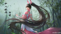 Rule 34 | 1girl, absurdres, animal ears, artist request, bamboo, bamboo forest, brown hair, closed mouth, douluo dalu, dress, falling leaves, floating hair, fog, forest, hair ornament, hand up, highres, leaf, long hair, looking back, nature, pink dress, pink eyes, ponytail, rabbit ears, second-party source, solo, upper body, very long hair, watermark, xiao wu (douluo dalu)