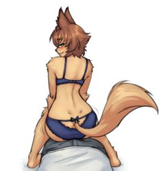 Rule 34 | 10s, 1boy, 1girl, animal ear fluff, animal ears, back, blue bra, blue panties, blush, bra, brown hair, dimples of venus, dog ears, dog girl, dog tail, from behind, furry, furry female, furry with non-furry, green eyes, hetero, interspecies, lingerie, looking back, monorus, monster girl, monster musume no iru nichijou, panties, polt, short hair, simple background, sitting, sitting on person, smile, solo focus, straddling, tail, underwear, underwear only, white background