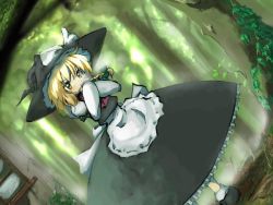 Rule 34 | 1girl, female focus, forest, hat, kirisame marisa, nature, neki-t, outdoors, plant, skirt, solo, touhou, witch, witch hat
