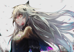 Rule 34 | 1girl, animal ears, arknights, black capelet, black jacket, blood, blood on face, breasts, capelet, closed mouth, commentary, english commentary, eyelashes, floating hair, glaring, grey background, hair between eyes, hair ornament, hairclip, highres, jacket, krin (krinnin), lappland (arknights), lappland (refined horrormare) (arknights), lips, long hair, looking at viewer, medium breasts, multicolored eyes, official alternate costume, rainbow eyes, scar, scar across eye, scar on face, shirt, silver hair, simple background, solo, upper body, white shirt, wolf ears