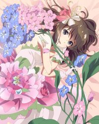 Rule 34 | 10s, 1girl, bare shoulders, blue eyes, brown hair, bug, butterfly, dress, flower, gloves, hair flower, hair ornament, bug, long hair, lying, messy hair, official art, on side, open mouth, shimada mayu, smile, solo, wake up girls!, wake up girls! stage no tenshi, white gloves