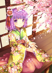 Rule 34 | 1girl, bad id, bad nicoseiga id, cherry blossoms, female focus, flower, gradient eyes, hair ornament, hieda no akyuu, japanese clothes, multicolored eyes, purple eyes, purple hair, short hair, sitting, smile, solo, touhou, wataame27, wide sleeves, yellow eyes
