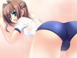 Rule 34 | against wall, asakura yume, bathroom, bent over, blush, bra visible through clothes, breasts, brown hair, cameltoe, da capo, da capo ii, from behind, game cg, green eyes, gym uniform, medium breasts, open mouth, steam, wet, wet clothes