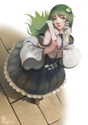 Rule 34 | 1girl, absurdres, dated, detached sleeves, diandianzai, frog hair ornament, from above, green eyes, green hair, hair ornament, highres, kochiya sanae, lips, long hair, looking at viewer, nose, signature, snake hair ornament, solo, standing, touhou, wide sleeves