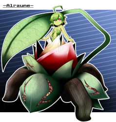 Rule 34 | alraune, colored skin, flower, green hair, green skin, highres, monster girl, original, plant girl