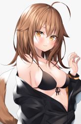 Rule 34 | 1girl, :3, ahoge, bare shoulders, bikini, bikini top only, black bikini, black jacket, blush, breasts, brown eyes, brown hair, cleavage, closed mouth, collarbone, commentary request, front-tie bikini top, front-tie top, grey background, hair between eyes, hair flaps, halterneck, hand up, highres, jacket, komomo (ptkrx), long hair, long sleeves, looking at viewer, medium breasts, off shoulder, open clothes, open jacket, orange eyes, original, simple background, smile, solo, strap gap, string bikini, swimsuit, tail, tail raised, upper body, white background, wolf tail
