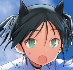Rule 34 | 1girl, animal ears, black hair, cat ears, cloud, fang, francesca lucchini, green eyes, hair ribbon, jacket, long hair, lowres, military, military uniform, open mouth, portrait, ribbon, shimada fumikane, sky, solo, strike witches, sweatdrop, tan, twintails, uniform, white ribbon, world witches series