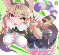 Rule 34 | 1girl, animal ears, camouflage, cat ears, cat girl, cat tail, elbow gloves, extra ears, fingerless gloves, gloves, green background, grey hair, highres, jacket, jungle cat (kemono friends), kemono friends, kemono friends v project, kneehighs, long hair, looking at viewer, microphone, obobu (sapnoji), red eyes, ribbon, shirt, simple background, skirt, socks, solo, tail, twintails, virtual youtuber