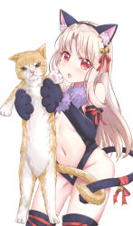 Rule 34 | 1girl, absurdres, animal, animal ear fluff, animal ears, animal hands, bare shoulders, bell, black gloves, black hairband, black leotard, bow, breasts, cat, cat ears, cat girl, cat tail, center opening, commentary request, elbow gloves, fake animal ears, fate/kaleid liner prisma illya, fate (series), fur trim, gloves, groin, hair bell, hair ornament, hair ribbon, hairband, head tilt, highres, holding, holding animal, illyasviel von einzbern, jingle bell, leotard, light brown hair, long hair, navel, official alternate costume, open mouth, parted bangs, paw gloves, red bow, red eyes, red ribbon, ribbon, round teeth, simple background, small breasts, solo, tail, tail bell, tail bow, tail ornament, teeth, thighhighs, upper teeth only, very long hair, white background, zongren