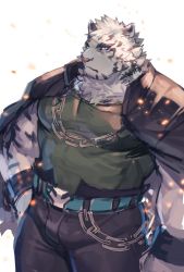 Rule 34 | 1boy, alternate costume, animal ears, arknights, bara, belt, black pants, black tank top, bulge, chain, chain necklace, daisuka (sunokaori), embers, feet out of frame, furry, furry male, green tank top, highres, jacket, jacket on shoulders, large pectorals, leather, leather pants, looking at viewer, male focus, mountain (arknights), muscular, muscular male, necklace, pants, pectorals, scar, scar across eye, scar on face, short hair, solo, tank top, thick thighs, thighs, tiger boy, tiger ears, white fur, white hair, white pants