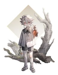 Rule 34 | 1boy, albino, arm at side, black shorts, child, closed mouth, copyright request, flower, full body, giving, grey hair, hair between eyes, holding, holding flower, log, long sleeves, looking at viewer, maegu owo, male focus, moss, outstretched arm, pale skin, red eyes, sand, shirt, shorts, sidelocks, socks, solo, standing, white background, white footwear, white hair, white shirt, white socks