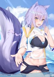 Rule 34 | 1girl, :d, absurdres, animal ears, arknights, blue sky, breasts, cleavage, cloud, commentary request, cowboy shot, crop top, day, fang, highres, huge filesize, kotoha (kotoha65), large tail, looking at viewer, midriff, navel, official alternate costume, open mouth, provence (arknights), provence (casual vacation) (arknights), purple hair, short sleeves, sky, smile, solo, stomach, tail, water, wolf ears, wolf tail, yellow eyes