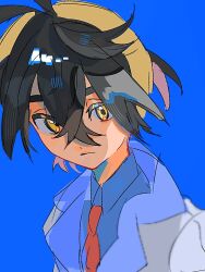 1boy black_hair blue_background blue_shirt closed_mouth collared_shirt creatures_(company) crossed_bangs frown game_freak hair_between_eyes hairband hami_(3hm6gebdf619771) jacket kieran_(pokemon) male_focus necktie nintendo pokemon pokemon_sv red_necktie shirt simple_background solo upper_body white_jacket yellow_eyes yellow_hairband