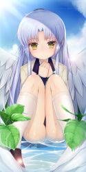 Rule 34 | 1girl, absurdres, angel beats!, ass, bad id, bad pixiv id, black skirt, blazer, blue sky, cer (cerber), cloud, cloudy sky, commentary request, day, feathered wings, full body, highres, jacket, kneehighs, knees together feet apart, knees up, long hair, looking at viewer, outdoors, own hands together, panties, parted lips, partially submerged, pleated skirt, silver hair, sitting, skirt, sky, socks, solo, sunlight, tenshi (angel beats!), thighs, underwear, very long hair, wet, wet clothes, wet panties, wet skirt, white socks, white wings, wings, yellow eyes