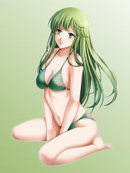 Rule 34 | 1girl, absurdres, bikini, breasts, cleavage, closed mouth, fire emblem, fire emblem: mystery of the emblem, green background, green bikini, green eyes, green hair, highres, long hair, medium breasts, navel, nintendo, palla (fire emblem), simple background, sitting, solo, swimsuit, tamamon