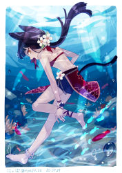 Rule 34 | 1girl, absurdres, air bubble, animal ears, ankle ribbon, anklet, bangle, barefoot, beads, belly chain, bike shorts, bikini, bikini top only, black hair, bracelet, bubble, cat ears, cat tail, coral, fish, fish in mouth, flower, freediving, from side, hair flower, hair ornament, highres, jewelry, leg ribbon, long hair, looking at viewer, nyapo 22, seafloor, original, ponytail, ribbon, sarong, swimming, swimsuit, tail, underwater, wrist ribbon, yellow eyes