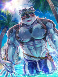 Rule 34 | 1boy, abs, ainu clothes, animal ears, bara, blue male swimwear, blush, bulge, chest hair, feet out of frame, furry, furry male, grey fur, grey hair, headband, horkeu kamui, large pectorals, male focus, male swimwear, muscular, muscular male, navel, nipples, pectorals, short hair, smile, solo, stomach, sunlight, swim briefs, swimsuit, tail, tokyo houkago summoners, topless male, two-tone fur, wading, water, wet, wet clothes, wet swimsuit, white fur, wolf boy, wolf ears, wolf tail, yellow eyes, yukihoshi