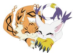 Rule 34 | absurdres, animal ears, cat, cat ears, digimon, digimon (creature), gloves, heavymetalpapi, highres, holy ring, jewelry, meicoomon, ring, tail, tailmon