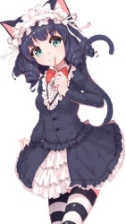 Rule 34 | 10s, 1girl, animal ear fluff, animal ears, bell, black hair, black jacket, black skirt, blue eyes, blush, bow, bowtie, buttons, cat ears, cat tail, center frills, closed mouth, cowboy shot, cyan (show by rock!!), fang, fang out, frilled skirt, frills, head tilt, highres, horizontal-striped legwear, jacket, jingle bell, leaning forward, long sleeves, maid headdress, red bow, red bowtie, ribbon, shone, show by rock!!, simple background, skirt, smile, solo, standing, striped clothes, striped thighhighs, tail, thighhighs, tooth, white background, white ribbon, zettai ryouiki