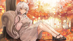 Rule 34 | 1girl, absurdres, animal ears, autumn, autumn leaves, black footwear, breasts, dress, forest, hands on own chest, highres, legs, lillly, long sleeves, looking at viewer, medium breasts, nature, original, outdoors, plaid, plaid dress, raccoon ears, raccoon girl, raccoon tail, shoes, short hair, sitting, solo, tail, tree, white dress, white hair, yellow eyes