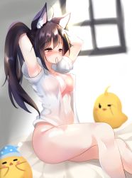 Rule 34 | 1girl, absurdres, akiba monaka, animal ear fluff, animal ears, arched back, arms up, azur lane, bedroom, blush, bottomless, breasts, closed mouth, collarbone, collared shirt, commentary request, hair tie in mouth, half-closed eyes, highres, indoors, large breasts, long hair, mouth hold, no bra, nose blush, on bed, open clothes, open shirt, ponytail, shigure (azur lane), shirt, short sleeves, sitting, sleepy, slit pupils, solo, tying hair, up sleeve, white shirt, wing collar, wolf ears, wolf girl