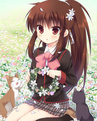 Rule 34 | 1girl, bell, black cat, black jacket, black socks, blush, bow, brown cat, brown footwear, cat, commentary request, eyelashes, flower, flower wreath, garden, grey skirt, hair bell, hair between eyes, hair flower, hair ornament, hair ribbon, holding, holding wreath, jacket, jingle bell, knees out of frame, little busters!, loafers, long hair, long sleeves, looking at viewer, miniskirt, natsume rin, open mouth, outdoors, petal on head, pink bow, plaid, plaid skirt, pleated skirt, pokopi, ponytail, red eyes, ribbon, school uniform, second-party source, shirt, shoes, sidelocks, sitting, skirt, socks, solo, spiked hair, very long hair, wariza, white flower, white petals, white ribbon, white shirt