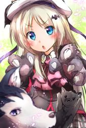 Rule 34 | 1girl, animal hands, bat hair ornament, belka, blue eyes, bow, ca2la, cape, dog, gloves, hair ornament, hat, highres, little busters!, looking at viewer, noumi kudryavka, open mouth, paw gloves, pink bow, plaid, plaid skirt, school uniform, silver hair, skirt, strelka