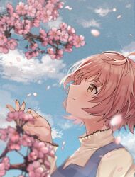 Rule 34 | 1girl, blurry, blurry foreground, blush, brown hair, cherry blossoms, depth of field, falling petals, hanetsuka, highres, idolmaster, idolmaster shiny colors, ikuta haruki, looking up, outdoors, petals, profile, short hair, smile, solo, upper body