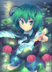 Rule 34 | 1girl, absurdres, antennae, bug, cape, female focus, fireflies, firefly, foreshortening, frog, green eyes, green hair, highres, insect, lily pad, matching hair/eyes, orita enpitsu, pointing, short hair, smile, solo, touhou, water, wriggle nightbug