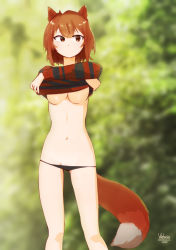 Rule 34 | 1girl, animal ears, artist name, bare legs, black panties, blurry, blurry background, breasts, brown eyes, brown sweater, closed mouth, clothes lift, commentary, english commentary, feet out of frame, fox ears, fox girl, fox tail, highres, little viktoria, long sleeves, looking away, looking to the side, medium breasts, navel, original, outdoors, panties, panty pull, short hair, solo, stomach, striped clothes, striped sweater, sweater, sweater lift, tail, underboob, underwear, undressing, watermark, web address