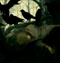 Rule 34 | 1boy, bird, blanket, brown hair, forest, lying, male focus, nature, outdoors, plant, crow, ravens, solo