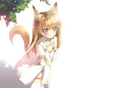 Rule 34 | 1girl, animal ears, blue eyes, blush, brown hair, female focus, from above, leaning forward, long hair, nekomu, open m/, original, smile, solo, steepled fingers, tail, thighhighs, white thighhighs, zettai ryouiki