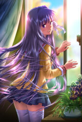 Rule 34 | 1girl, :d, aomaru kazumi, backlighting, blazer, blue skirt, blurry, blurry background, blush, clannad, commentary request, cowboy shot, day, eyelashes, fingernails, floating hair, flower, fujibayashi kyou, hair between eyes, hair intakes, hair ribbon, hand on window, hand up, highres, hikarizaka private high school uniform, indoors, jacket, long hair, long sleeves, looking at viewer, looking back, making-of available, miniskirt, open mouth, plant, pleated skirt, potted plant, purple eyes, purple flower, purple hair, ribbon, sailor collar, school uniform, serafuku, skirt, smile, solo, standing, straight hair, teeth, thighhighs, upper teeth only, very long hair, white ribbon, white sailor collar, white thighhighs, wind, wind lift, window, yellow jacket, zettai ryouiki