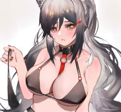 1girl animal_ears arknights bare_shoulders bikini black_bikini black_choker breasts cat_ears choker commentary_request grey_background grey_eyes hair_between_eyes hand_up highres holding large_breasts long_hair looking_at_viewer mkt_(pixiv15187870) nail_polish parted_lips red_nails schwarz_(arknights) silver_hair solo stomach swimsuit upper_body