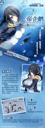 Rule 34 | 1girl, absurdres, animal costume, animal hood, bird, black hair, black jacket, closed mouth, emperor penguin (kemono friends), gloves, headphones, highres, hood, jacket, kemono friends, kemono friends kingdom, long hair, looking at viewer, nature, official art, one-piece swimsuit, open mouth, penguin, penguin costume, penguin hood, penguin tail, photo (object), solo, swimsuit, tail, white one-piece swimsuit