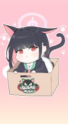 Rule 34 | 1girl, absurdres, animal ears, black hair, black jacket, blue archive, blush, box, cat ears, cat girl, cat tail, chibi, english text, halo, highres, hood, hooded jacket, jacket, kazusa (blue archive), looking at viewer, multicolored hair, pink background, pink eyes, pink halo, shirt, solo, tail, two-tone hair, white shirt, yosik