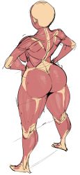 Rule 34 | 1girl, anatomy, ass, back, blonde hair, bone, breasts, elf-san wa yaserarenai., facing away, from behind, hands on own hips, honeda-san, kneepits, large breasts, muscular, muscular female, short hair, simple background, skeleton, sketch, solo, standing, synecdoche, thick thighs, thighs, white background