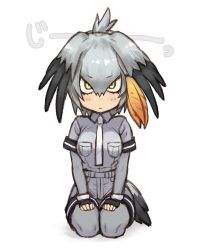 Rule 34 | 1girl, :|, black gloves, blush, breast pocket, closed mouth, collared shirt, fingerless gloves, folded ponytail, gloves, green eyes, grey hair, grey pantyhose, grey shirt, grey shorts, guchico, head wings, kemono friends, layered sleeves, long sleeves, looking at viewer, multicolored hair, pantyhose, pocket, seiza, shirt, shoebill (kemono friends), short over long sleeves, short shorts, short sleeves, shorts, side ponytail, simple background, sitting, solo, staring, tail, white background, wing collar, wings