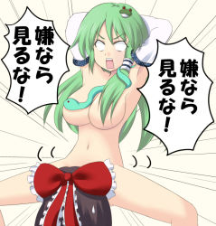 Rule 34 | 2channel, 2girls, armpits, arms up, bow, breasts, brown hair, censored, censored nipples, convenient censoring, detached sleeves, empty eyes, female focus, frog, green hair, hair bow, hair censor, hair ornament, hair over breasts, hair ribbon, hakurei reimu, kochiya sanae, large breasts, long hair, meme, multiple girls, navel, neta, nude, open mouth, ribbon, snake, spread legs, super masara, sweatdrop, touhou, white eyes