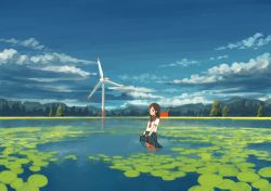 Rule 34 | 1girl, black skirt, blue sky, brown eyes, brown hair, cloud, cloudy sky, day, from side, holding, holding clothes, holding skirt, house, ike rakune, in water, lake, lily pad, long hair, looking to the side, mountain, nature, original, red neckwear, sailor collar, school uniform, shirt, shore, short sleeves, sidelocks, skirt, sky, smile, solo, standing, tree, wading, white shirt, wind turbine, windmill