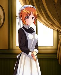 Rule 34 | 1girl, abe nana, alternate costume, alternate hairstyle, apron, black dress, blush, brown eyes, collar, commentary request, cowboy shot, curtains, dress, enmaided, frills, highres, idolmaster, idolmaster cinderella girls, looking at viewer, maid, maid apron, maid headdress, nazo no diaboro, orange hair, own hands together, smile, solo, victorian, victorian maid, window, wrist cuffs