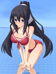 Rule 34 | 10s, 1girl, bare legs, bare shoulders, bent over, bikini, black hair, blue eyes, blush, body blush, breasts, cleavage, collarbone, female focus, front-tie top, frown, grid, hair between eyes, hair ribbon, hands on own knees, highres, hip focus, infinite stratos, knees, large breasts, legs, long hair, looking at viewer, mei ichi, ponytail, red bikini, ribbon, shinonono houki, shiny skin, simple background, solo, standing, swimsuit, thighs, very long hair, wide hips