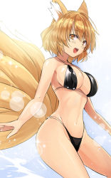 Rule 34 | 1girl, animal ear fluff, animal ears, bare arms, bare shoulders, bikini, black bikini, blonde hair, blue background, breasts, brown eyes, commentary request, cowboy shot, fox ears, fox tail, gradient background, groin, hair between eyes, highres, large breasts, lens flare, looking at viewer, multiple tails, navel, one-hour drawing challenge, open mouth, short hair, solo, standing, stomach, swimsuit, tail, thighs, touhou, white background, y2, yakumo ran