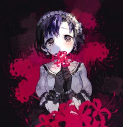 Rule 34 | 1girl, black background, black gloves, black hair, blush, bow, bracelet, brown eyes, dress, earrings, flower, gloves, hair bow, hairband, holding, holding flower, idolmaster, idolmaster cinderella girls, jewelry, looking at viewer, own hands together, pale skin, pearl bracelet, sasasasa, shiragiku hotaru, short hair, simple background, solo, spider lily, upper body