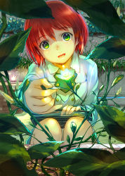 Rule 34 | 1girl, :d, absurdres, akagami no shirayukihime, book, bookmark, commentary request, flower, glowing, green eyes, highres, holding, holding book, leaf, mikazuki akira!, open mouth, plant, red hair, shirayuki (akagami no shirayukihime), short hair, smile, solo