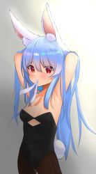 Rule 34 | 1girl, :/, absurdres, alternate hairstyle, animal ear fluff, animal ears, armpits, arms behind head, arms up, black leotard, black pantyhose, blue hair, blush, breasts, cleavage, closed mouth, collarbone, commentary request, contrapposto, cowboy shot, gradient background, grey background, hair between eyes, hair down, hair flowing over, highres, holding, holding ribbon, hololive, leotard, light smile, long hair, looking at viewer, mouth hold, pantyhose, playboy bunny, rabbit-shaped pupils, rabbit ears, rabbit girl, rabbit tail, red eyes, ribbon, sidelocks, simple background, small breasts, solo, standing, straight hair, symbol-shaped pupils, tail, usada pekora, usada pekora (1st costume), v-shaped eyebrows, very long hair, virtual youtuber, wall, white ribbon, yng