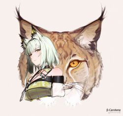 Rule 34 | 1girl, absurdres, animal, animal ear fluff, animal ears, arknights, bare shoulders, breasts, cleavage, closed mouth, collarbone, commentary, cropped torso, dress, green dress, green eyes, grey background, grey hair, highres, kal&#039;tsit (arknights), looking at viewer, lufi ays, lynx, medium breasts, orange eyes, simple background, solo, upper body