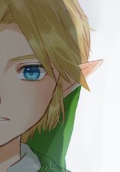 Rule 34 | 1boy, blonde hair, commentary request, green eyes, green headwear, grey background, highres, link, looking at viewer, male focus, nintendo, parted lips, pointy ears, portrait, seri (yuukasakura), short hair, signature, simple background, solo, split theme, teeth, the legend of zelda, the legend of zelda: ocarina of time