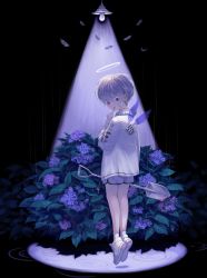 Rule 34 | 1boy, aki (xxparadexx), angel, angel wings, black nails, blood, bug, child, commentary request, fantasy, feathered wings, finger to mouth, floating, flower, full body, halo, highres, holding, holding shovel, hydrangea, insect, lamp, long sleeves, looking at viewer, male focus, midair, moth, nail polish, original, purple eyes, purple flower, rain, resolution mismatch, ripples, short hair, shorts, shovel, shushing, solo, source smaller, tools, white footwear, white hair, wings
